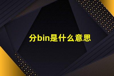 分bin是什么意思 bin目錄是什么意思